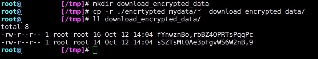 download_encrypted_data