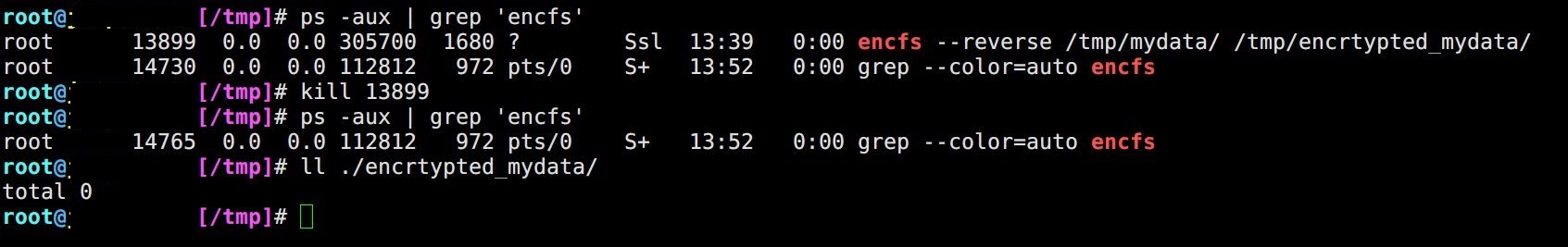 kill_encfs