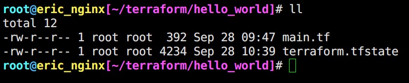 terraform_hello_world_4