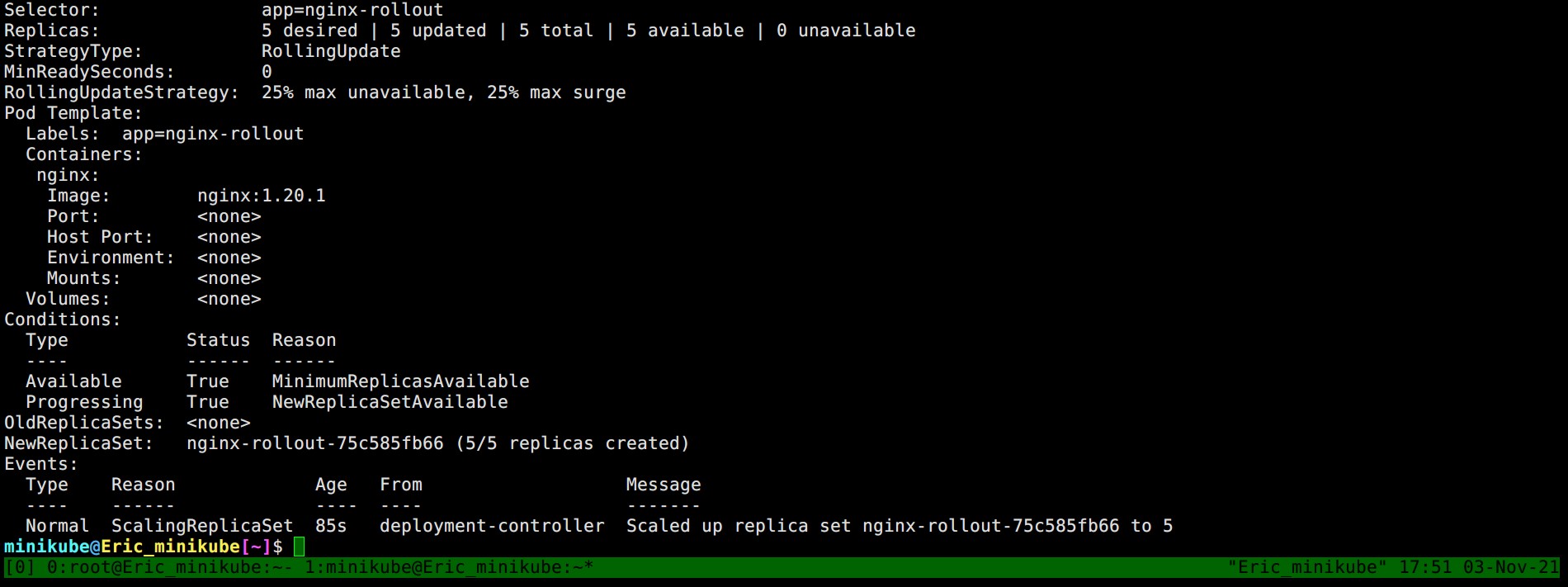 nginx_rollout_1