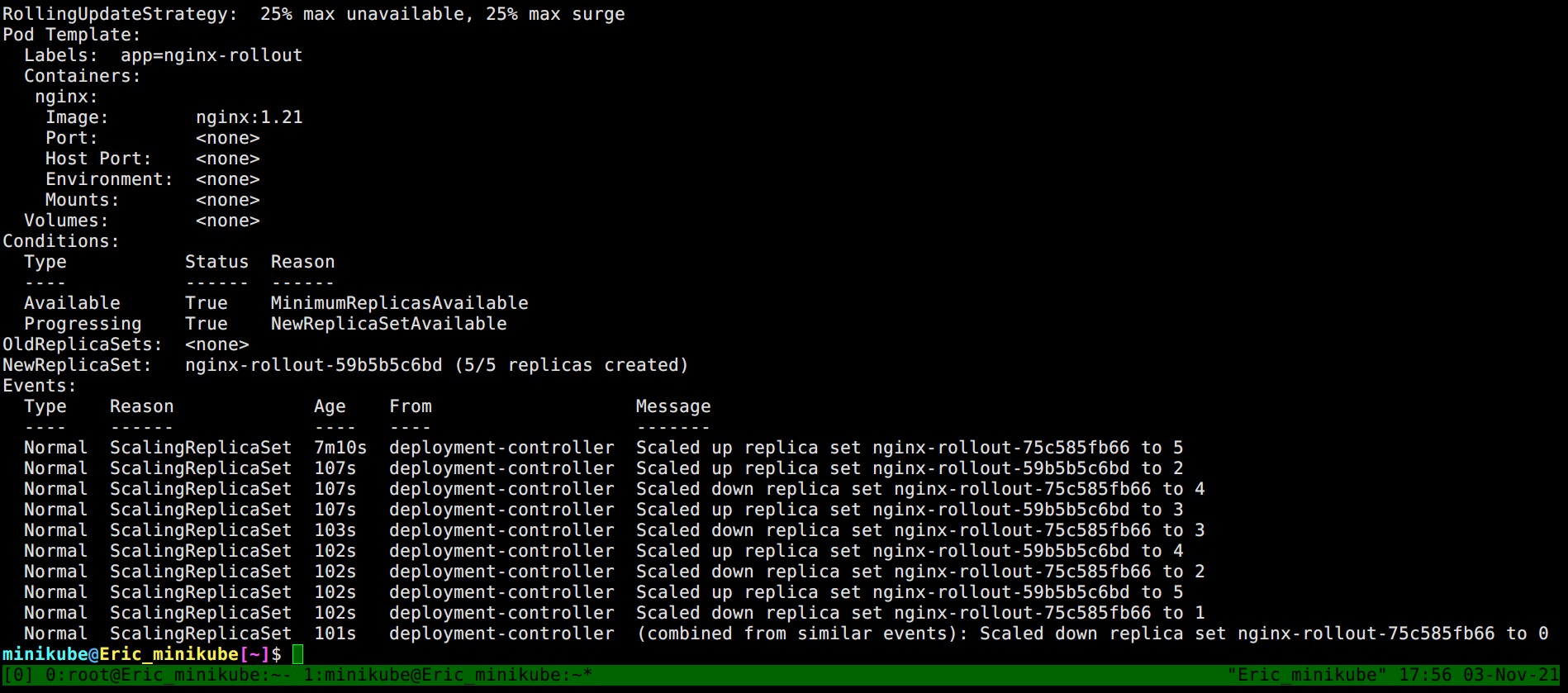 nginx_rollout_2