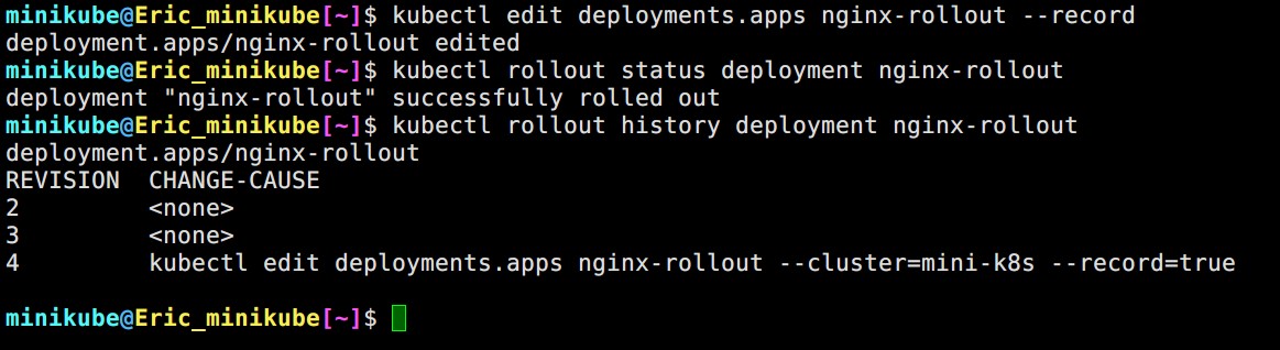 rollout_record_0