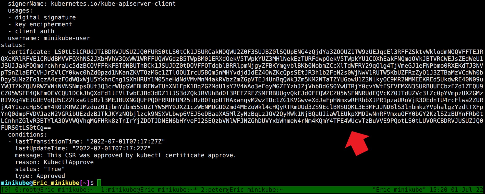 get_peter_certificate