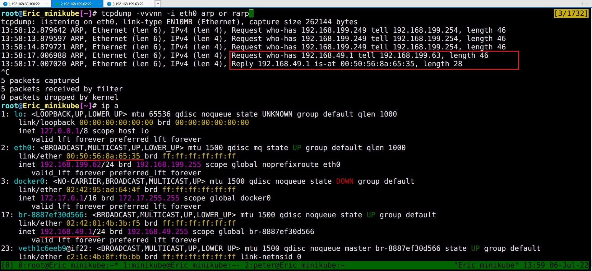 two_node_ping_bridge_arp