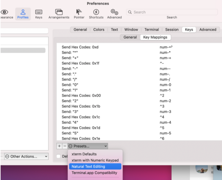 iterm-option-arrow